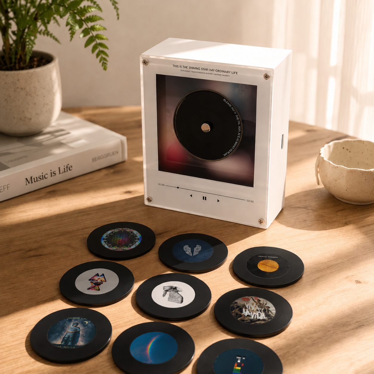 Cold Tunes Music Vinyl Player